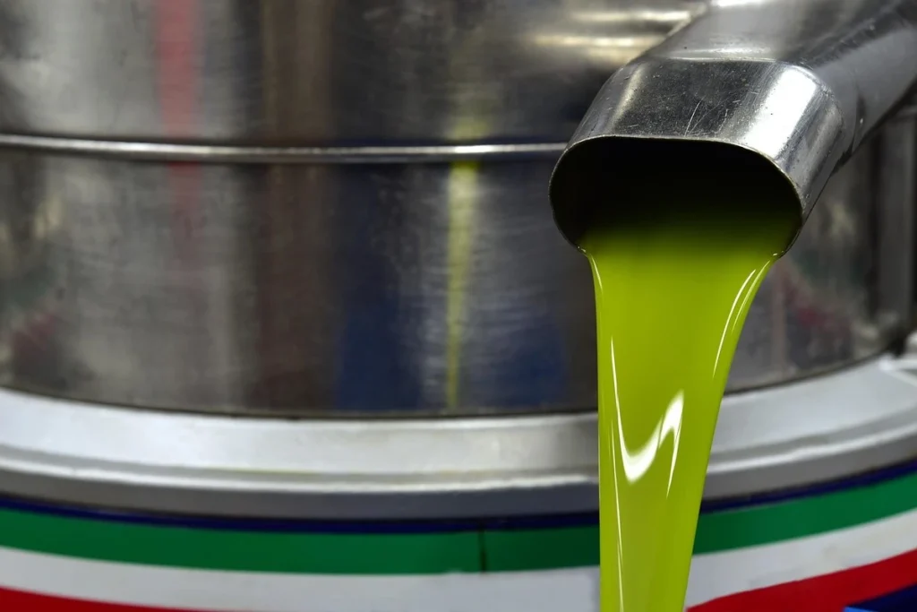 Tłoczenie oliwy z oliwek na zimno ze wczesnych zbiorów oliwek.